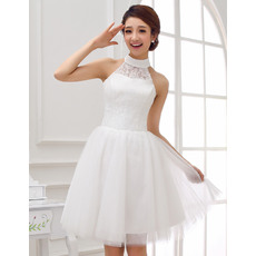 Classy Mandarin Collar Lace A-Line Short Dresses for Wedding Reception
